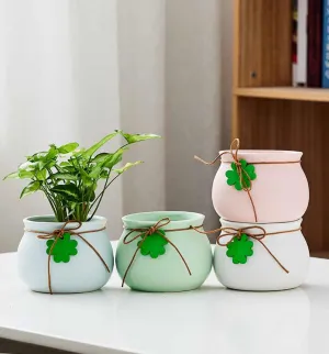 Small Indoor Plant Pots in Pastel Shades